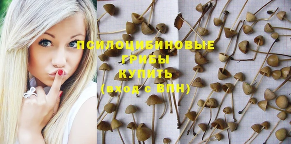 таблы Армянск