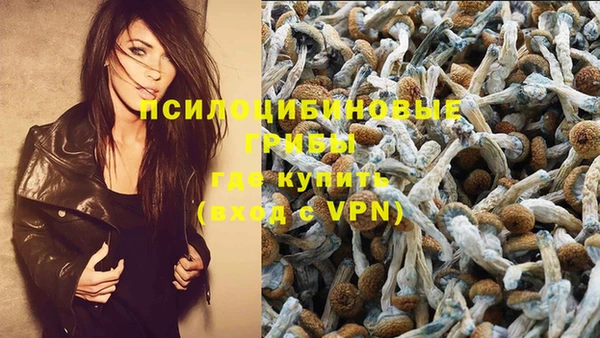 тгк Арсеньев